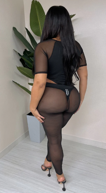 Mesh Slv Bodysuit & Tights