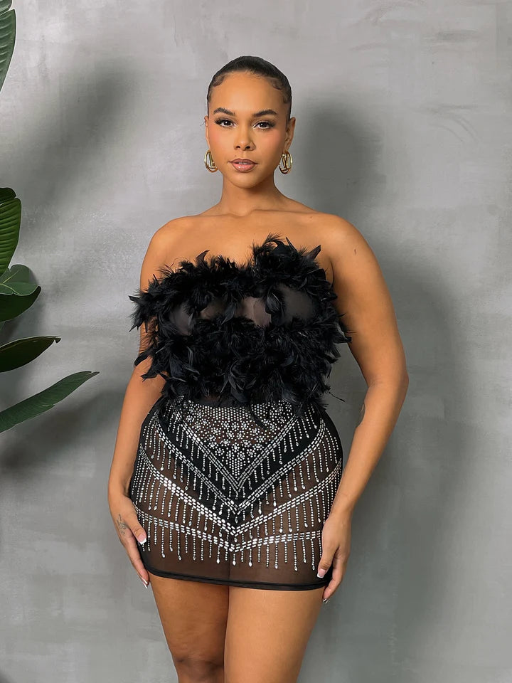 Black Swan Feather Dress