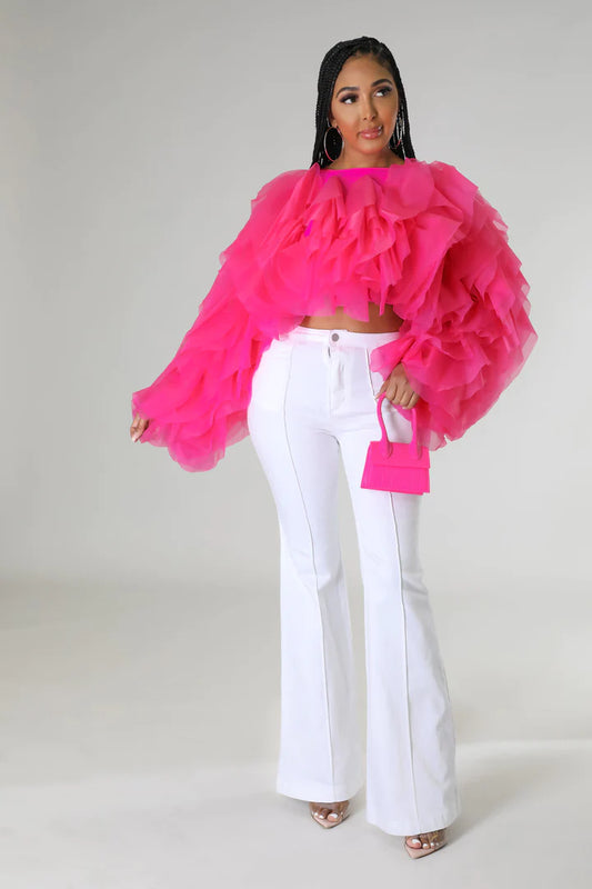 Ruffle Blouse Top