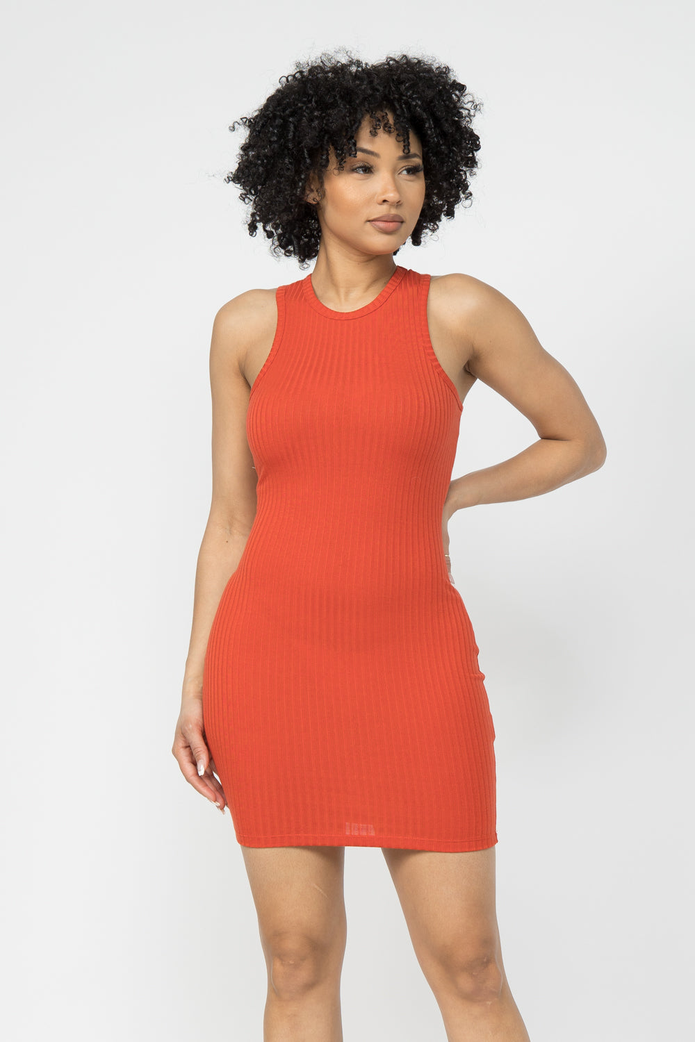 Rib Solid Sleeveless Mini Dress